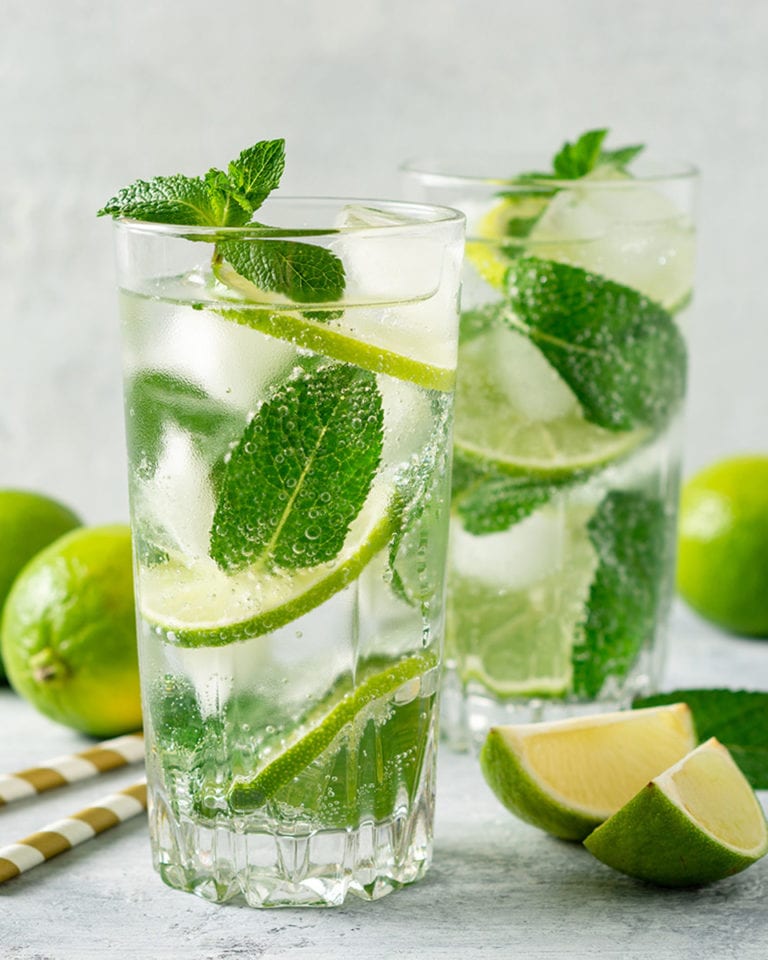 Mint Mojito